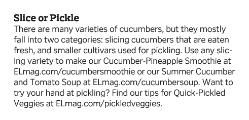 Slice or Pickle There are many varieties of cucumbers, but they mostly fall into two categories: slicing cucumbers th   