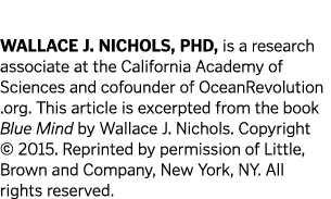 Wallace J  Nichols, PhD, is a research associate at the California Academy of Sciences and cofounder of OceanRevolut   