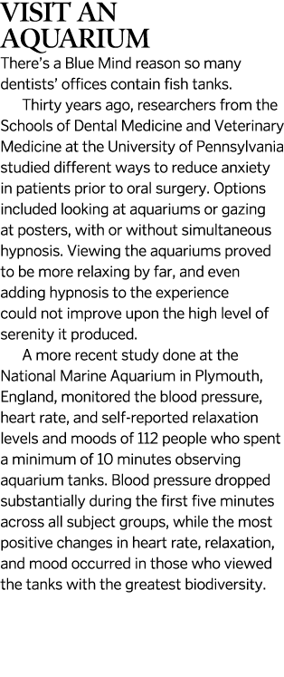 Visit an Aquarium There s a Blue Mind reason so many dentists  offices contain fish tanks  Thirty years ago, research   