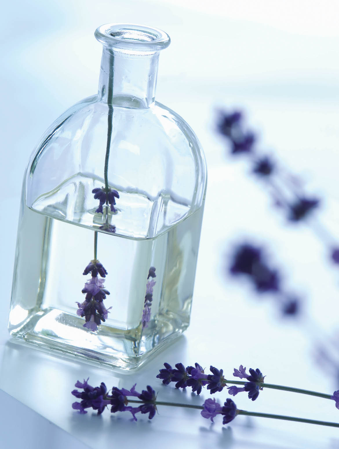 Lavender (Lavandula angustifolia) oil in bottle