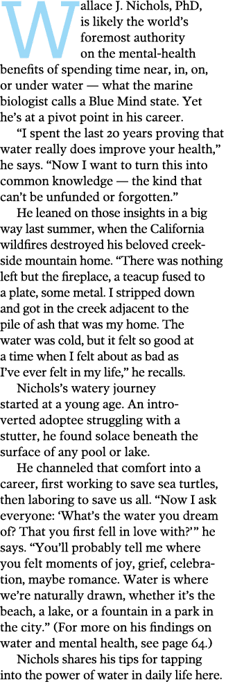 Wallace J  Nichols, PhD, is likely the world s foremost authority on the mental-health benefits of spending time near   