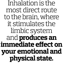 Inhalation is the most direct route to the brain, where it stimulates the limbic system and produces an immediate eff   
