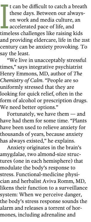 It can be difficult to catch a breath these days  Between our always-on work and media culture  an accelerated pace o   