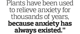 Plants have been used to relieve anxiety for thousands of years  because anxiety has always existed   