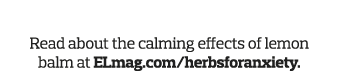 Learn More Read about the calming effects of lemon balm at ELmag com herbsforanxiety 