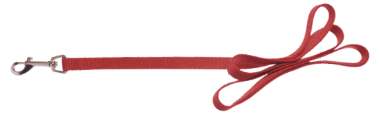 Classic Red Nylon Dog LeashPLEASE CLICK ON THE IMAGE BELOW TO SEE MY DOGGY LIGHTBOX PORTFOLIO 