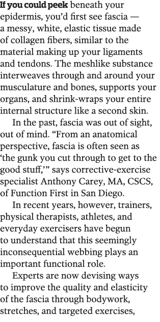 If you could peek beneath your epidermis  you d first see fascia — a messy  white  elastic tissue made of collagen fi   