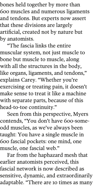 bones held together by more than 600 muscles and numerous ligaments and tendons  But experts now assert that these di   