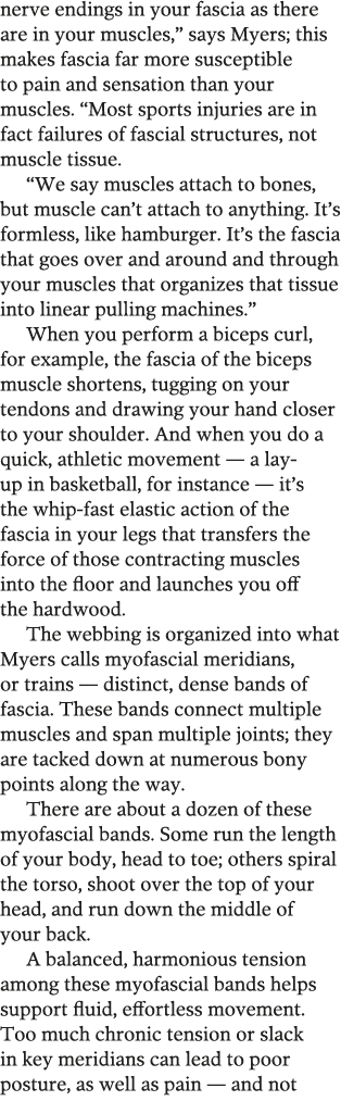 nerve endings in your fascia as there are in your muscles   says Myers  this makes fascia far more susceptible to pai   