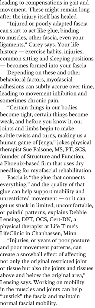 leading to compensations in gait and movement  These might remain long after the injury itself has healed   Injured o   