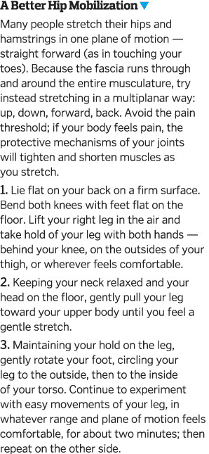 A Better Hip Mobilization  Many people stretch their hips and hamstrings in one plane of motion — straight forward  a   