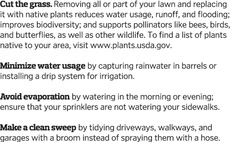 Cut the grass  Removing all or part of your lawn and replacing it with native plants reduces water usage  runoff  and   