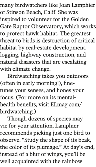 many birdwatchers like Joan Lamphier of Stinson Beach  Calif  She was inspired to volunteer for the Golden Gate Rapto   