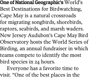 One of National Geographic s World s Best Destinations for Birdwatching  Cape May is a natural crossroads for migrati   