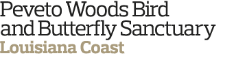 Peveto Woods Bird and Butterfly Sanctuary Louisiana Coast