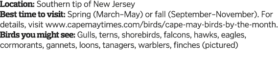 Location  Southern tip of New Jersey Best time to visit  Spring  March May  or fall  September November   For details   