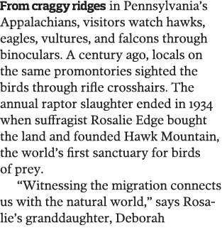 From craggy ridges in Pennsylvania s Appalachians  visitors watch hawks  eagles  vultures  and falcons through binocu   