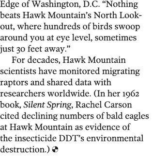 Edge of Washington  D C   Nothing beats Hawk Mountain s North Lookout  where hundreds of birds swoop around you at ey   
