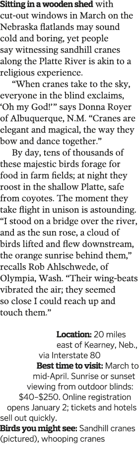 Sitting in a wooden shed with cut-out windows in March on the Nebraska flatlands may sound cold and boring  yet peopl   