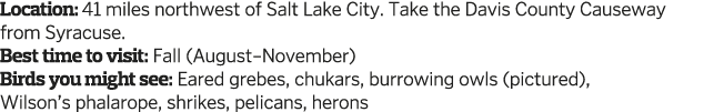 Location  41 miles northwest of Salt Lake City  Take the Davis County Causeway from Syracuse  Best time to visit  Fal   