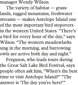 manager Wendy Wilson  The variety of habitat — grasslands  rugged mountains  freshwater streams — makes Antelope Isla   