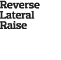 Reverse Lateral Raise 