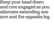 Keep your head down and core engaged as you alternate extending one arm and the opposite leg 