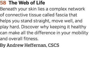 58 The Web of Life  Beneath your skin lies a complex network of connective tissue called fascia that helps you stand    