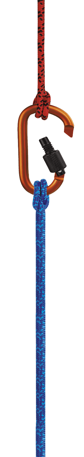 This is a photo taken in the studio of a red and blue climbing rope attached to a carabiner with a clove hitch knot on each end isolated on a white background  There is a clipping path included with this file 