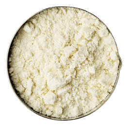 measuring metal scoop of whey protein powder against rustic white art canvas with a copy space