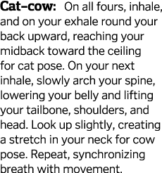 Cat-cow  On all fours  inhale  and on your exhale round your back upward  reaching your midback toward the ceiling fo   