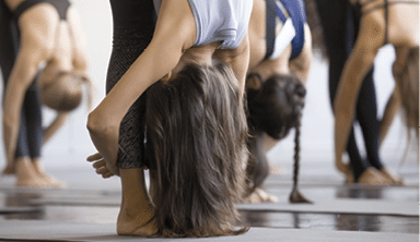 Group of young sporty people practicing yoga lesson  standing forward bend  head to knees exercise  uttanasana pose  working out  indoor close up view photo  studio