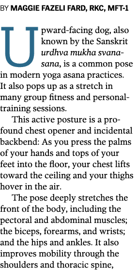 BY MAGGIE FAZELI FARD  RKC  MFT-1 Upward-facing dog  also known by the Sanskrit urdhva mukha svanasana  is a common p   