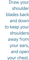 Draw your shoulder blades back and down to keep your shoulders away from your ears  and open your chest  