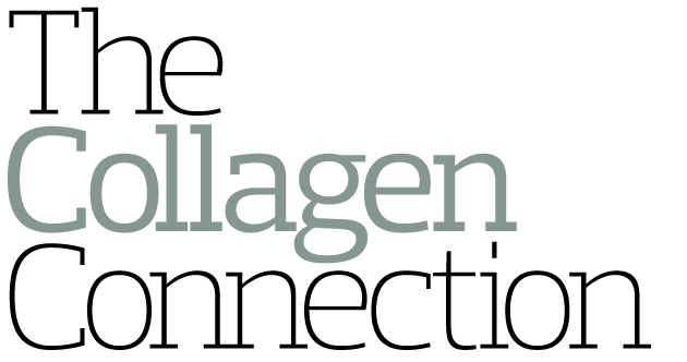 The Collagen    Connection