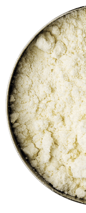 measuring metal scoop of whey protein powder against rustic white art canvas with a copy space