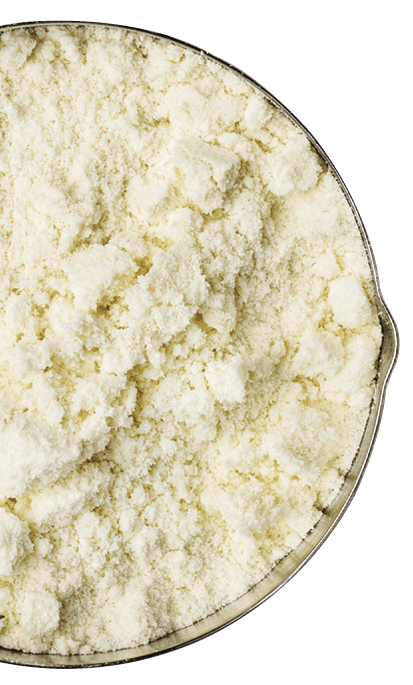 measuring metal scoop of whey protein powder against rustic white art canvas with a copy space