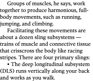 Groups of muscles  he says  work together to produce harmonious  full-body movements  such as running  jumping  and c   