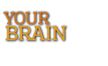 your  Brain 