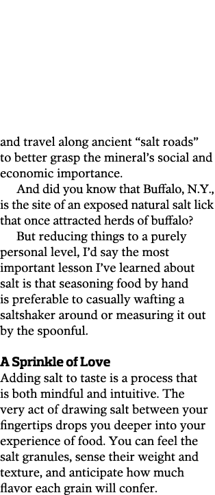 and travel along ancient  salt roads  to better grasp the mineral s social and economic importance  And did you know    