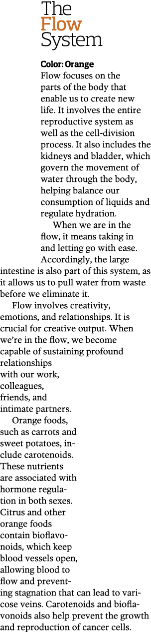 The Flow System Color  Orange Flow focuses on the parts of the body that enable us to create new life  It involves th   