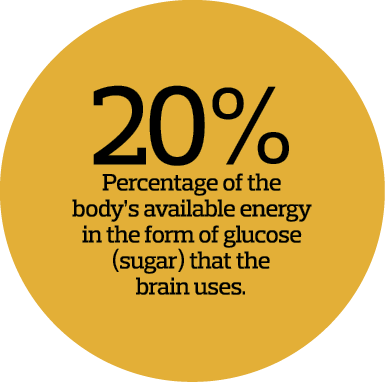  20  Percentage of the body s available energy in the form of glucose  sugar  that the brain uses 