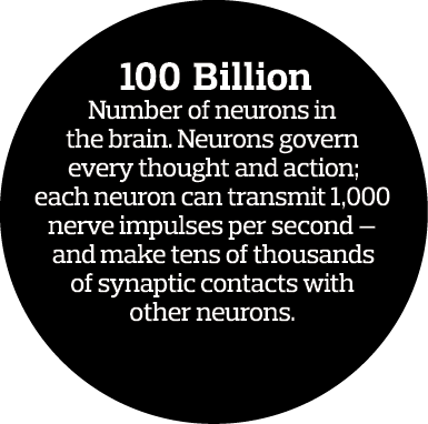   100 Billion Number of neurons in the brain  Neurons govern every thought and action  each neuron can transmit 1 000   