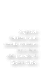 A typical flotation tank usually contains more than 800 pounds of Epsom salts  