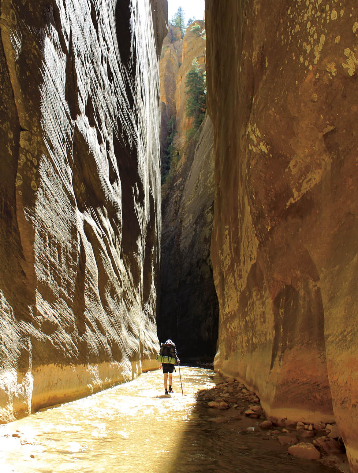 Adventure awaits hiking in the Virgin Narrows canyon in Zion National Park 