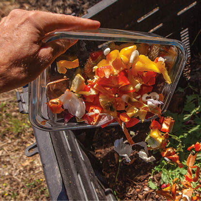 Cette photographie présente une personne en train de jeter dans un composteur des déchets verts (épluchures) afin de le réutiliser en jardinage 