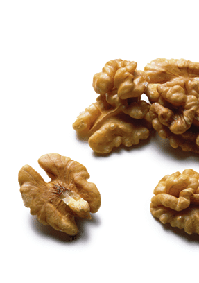 Close up of shelled walnuts on a white background 