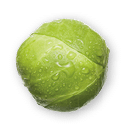 Healthy eating clean organic fresh vegetable brussel sprouts flying and bouncing up into the air in studio on a white background for wellness