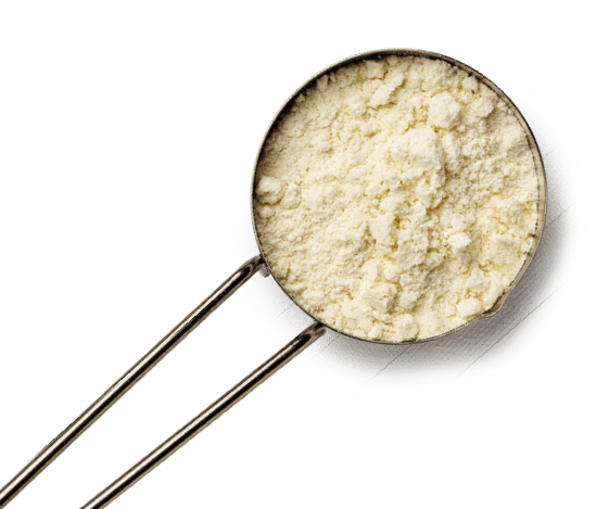 Overhead view of metal scoop filled with white-colored protein powder