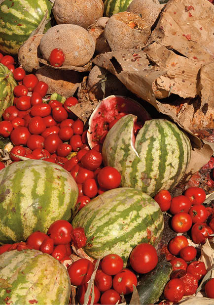 Pile of rotting watermellon, cantaloupe, and tomatos 